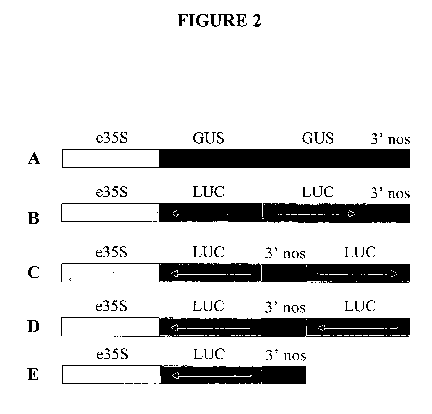 Recombinant DNA constructs and methods for controlling gene expression
