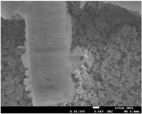 A method for preparing an oxide nanotube array layer on the surface of a zirconium-based amorphous alloy