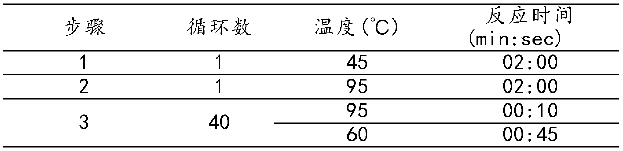 Primer and probe set for detecting helicobacter pylori drug-resistant mutation sites and application thereof