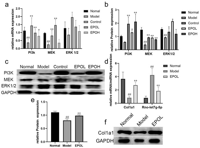 COL1A1 as biomarker of Type 2 diabetes, and application of COL1A1