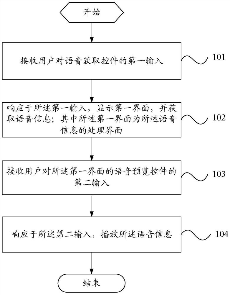 Voice information processing method and device and electronic equipment