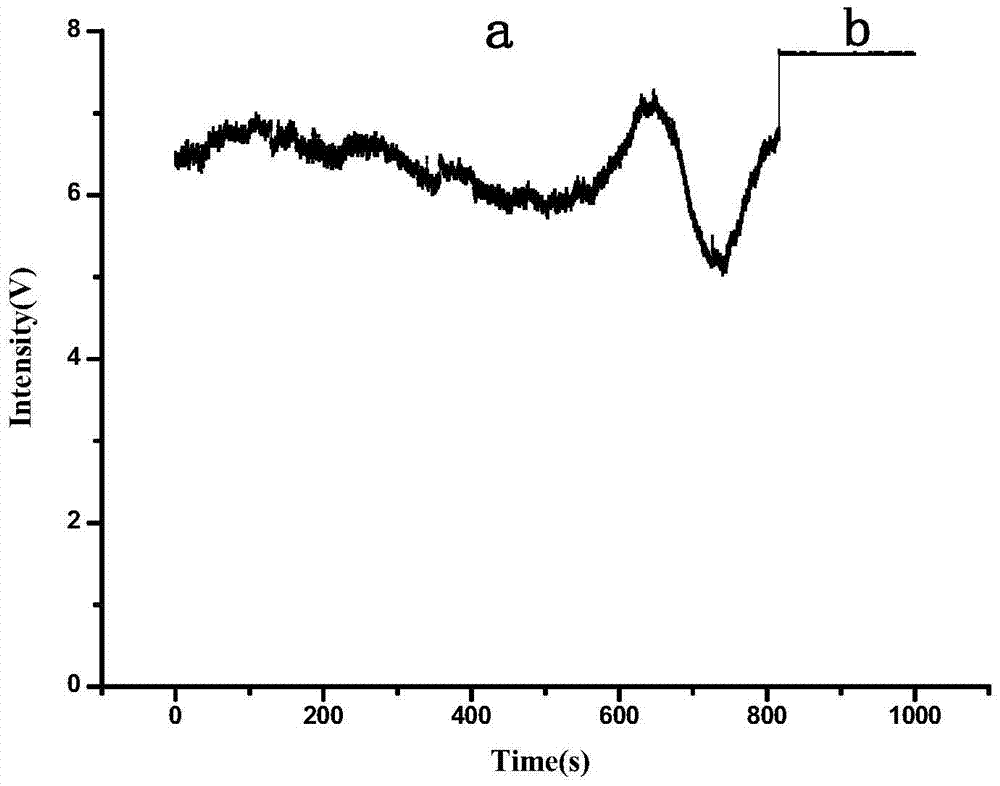 Stabilizing apparatus and stabilizing method for linear polarization laser polarization and power