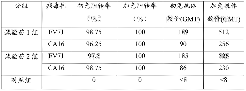 A kind of dual combination hand-foot-mouth disease inactivated vaccine and preparation method thereof