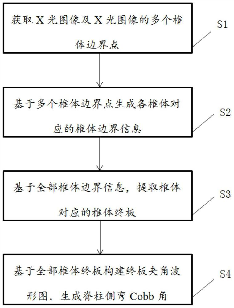 Method and system for measuring scoliosis Cobb angle by using oscillogram