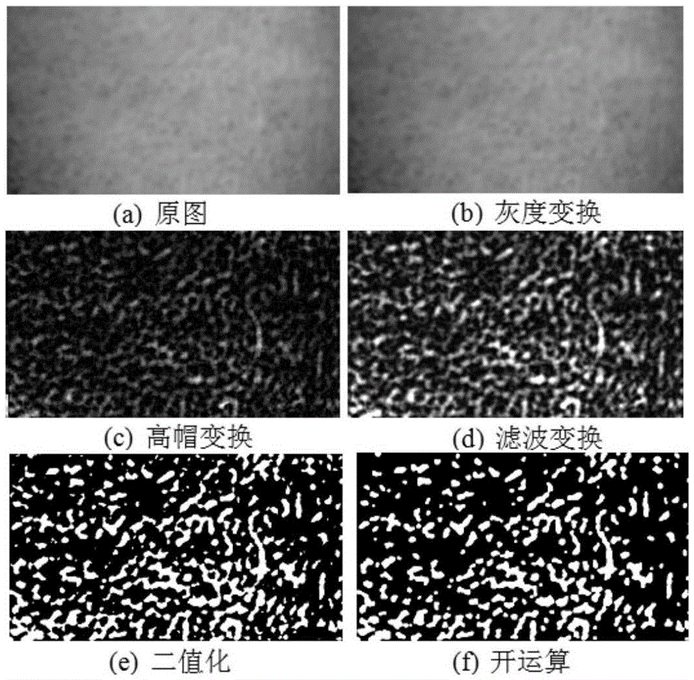 Centralization method for representing behavior uniformity of droplet clusters in direct contact boiling heat exchange process