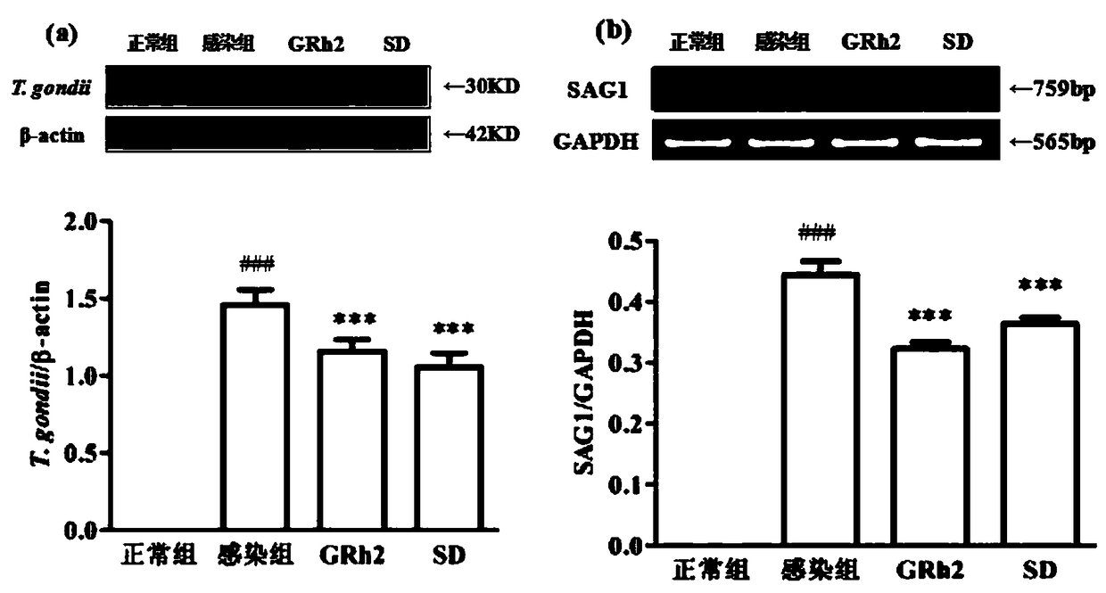 Application of ginsenoside GRh2 in preparing toxoplasma gondii resisting compound preparation and medicine thereof