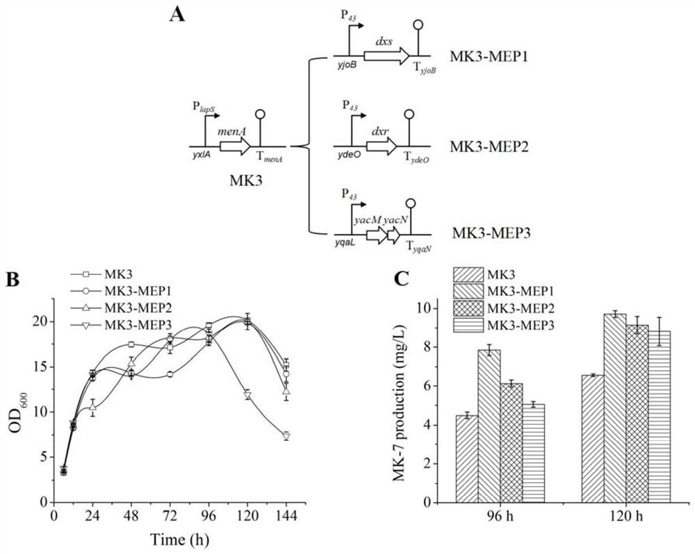 Gene overexpression and obtained strains, applications