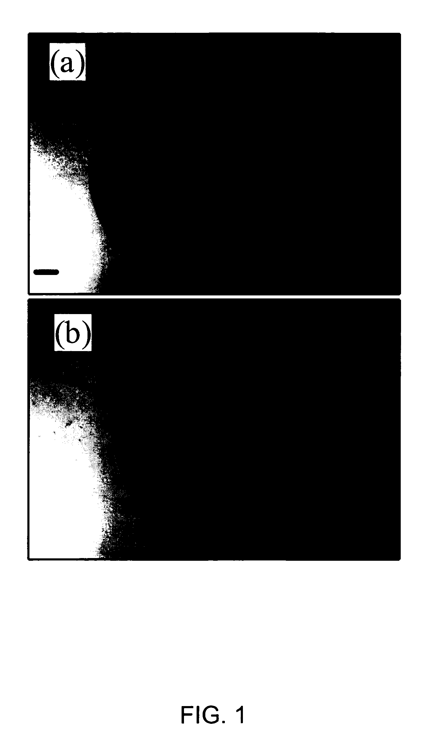 Process and apparatus for segregation and testing by spectral analysis of solid deposits derived from liquid mixtures