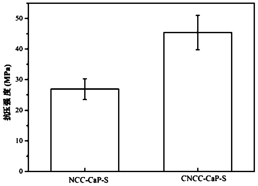 A kind of preparation method of carboxylated nanocrystalline cellulose reinforced calcium phosphate scaffold