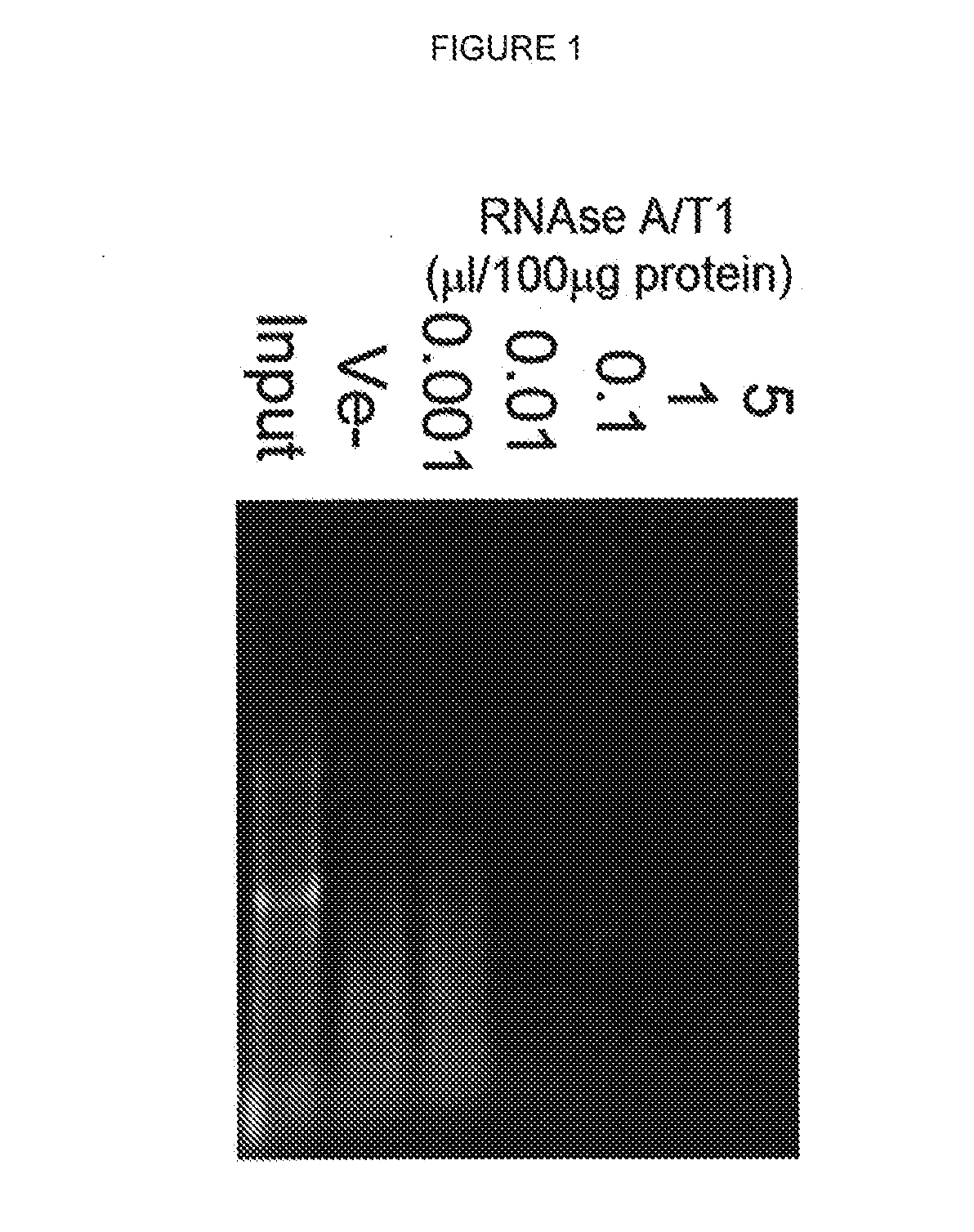 Use of RNA removal to initiate protein aggregation