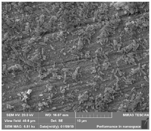 High-strength nanometer reinforced steel capable of inhibiting marine organism fouling and preparation method thereof