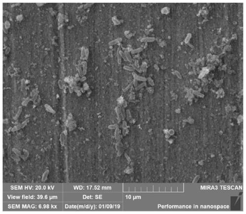 High-strength nanometer reinforced steel capable of inhibiting marine organism fouling and preparation method thereof