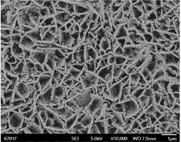 Preparation and application of bismuth vanadate/Vo-FeNiOOH composite photo-anode