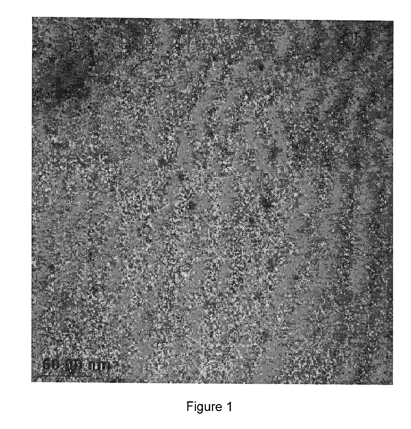 Reversible Polymer/Metal Nano-Composites And Method For Manufacturing Same