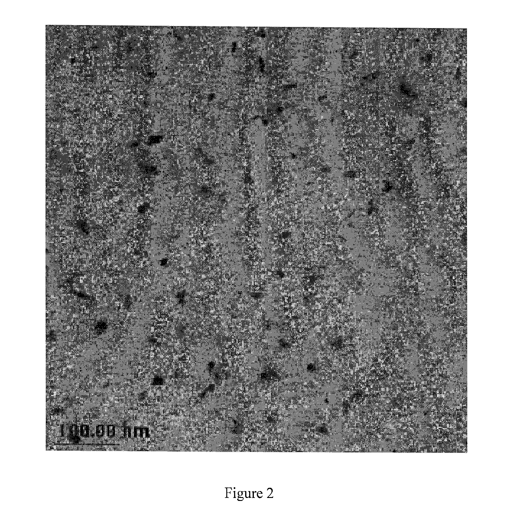 Reversible Polymer/Metal Nano-Composites And Method For Manufacturing Same
