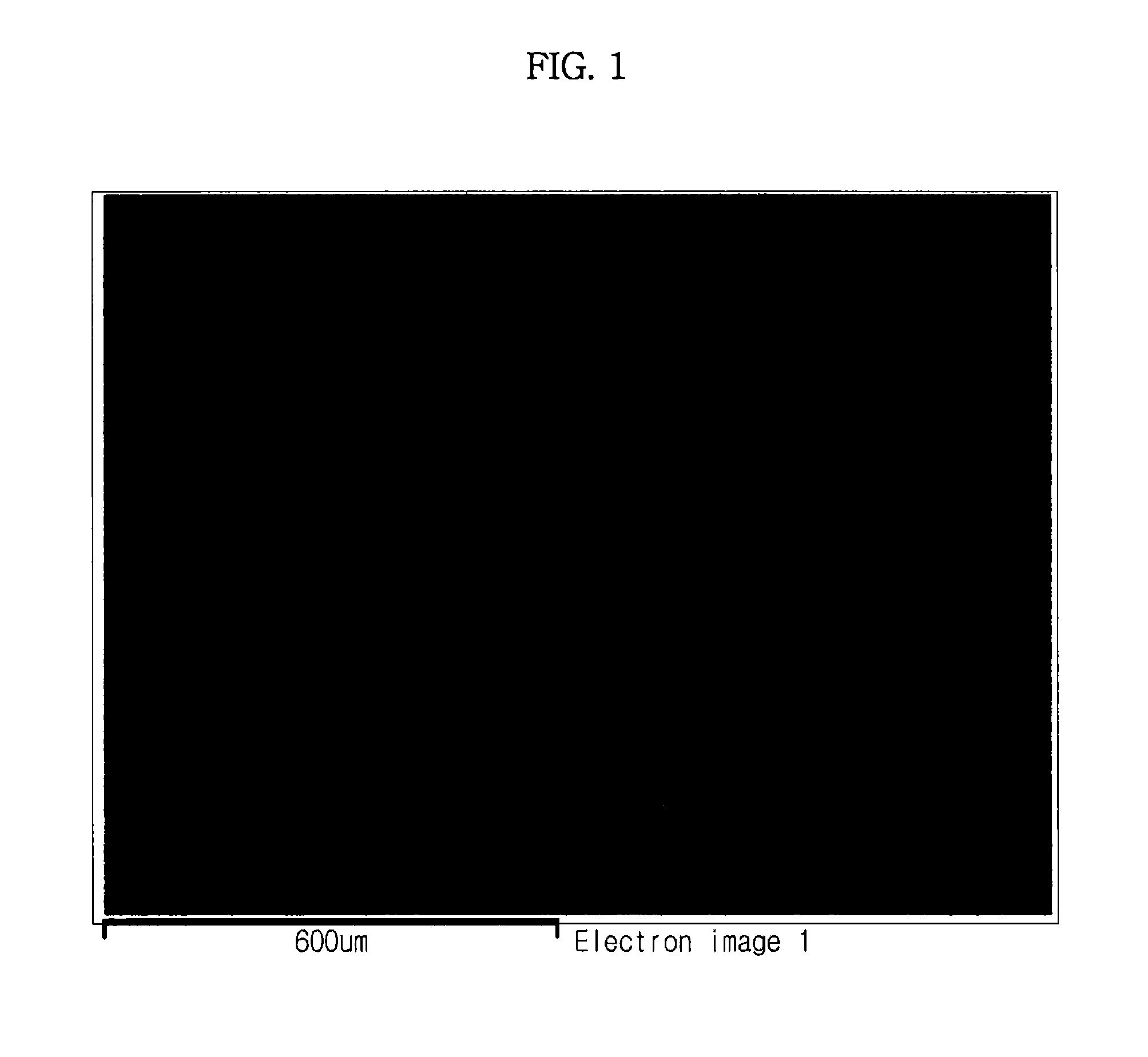 Photocatalyst powder and production method thereof