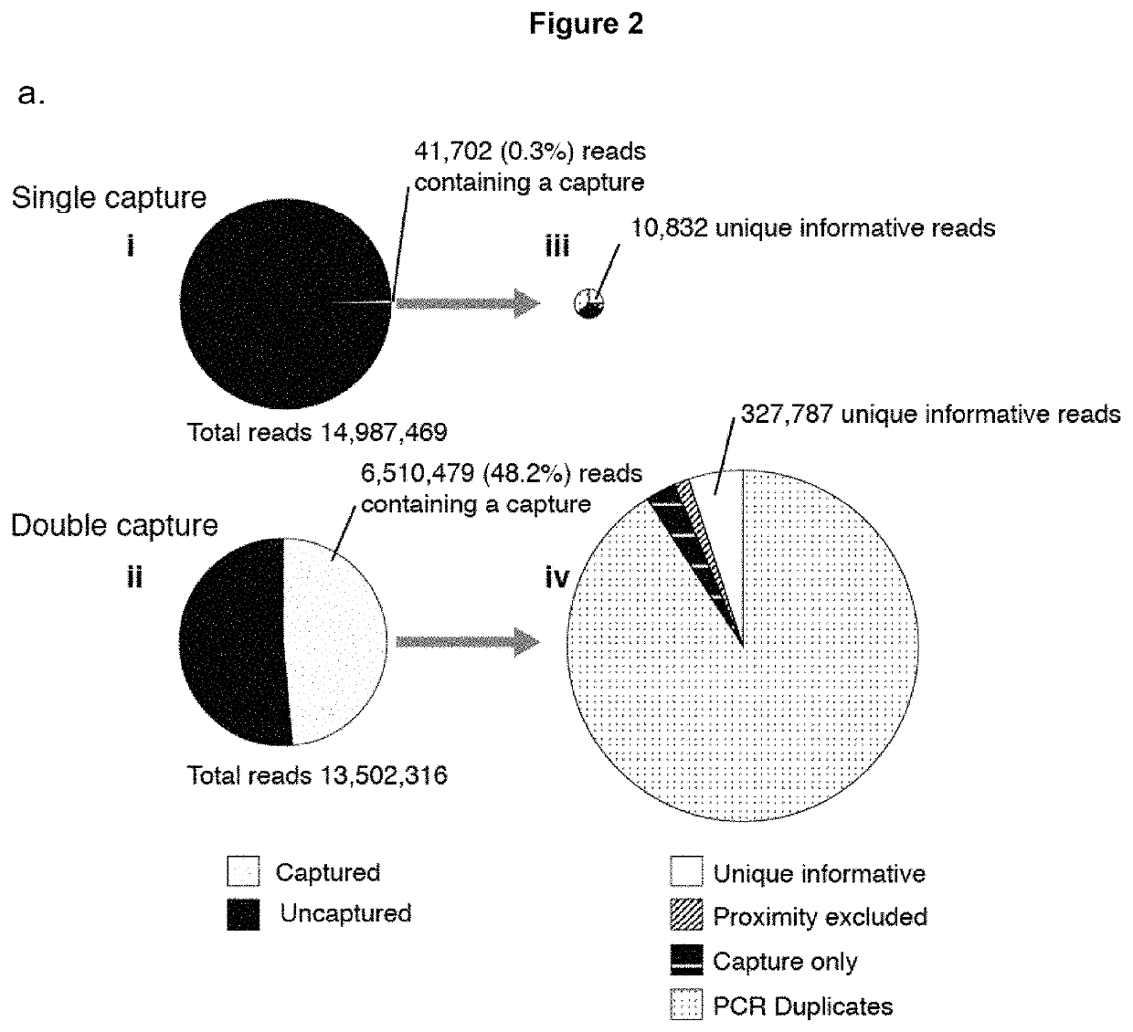 Method of analysing DNA sequences