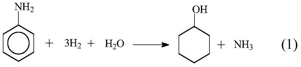 A kind of method by directly synthesizing cyclohexanol by aniline hydrogenation