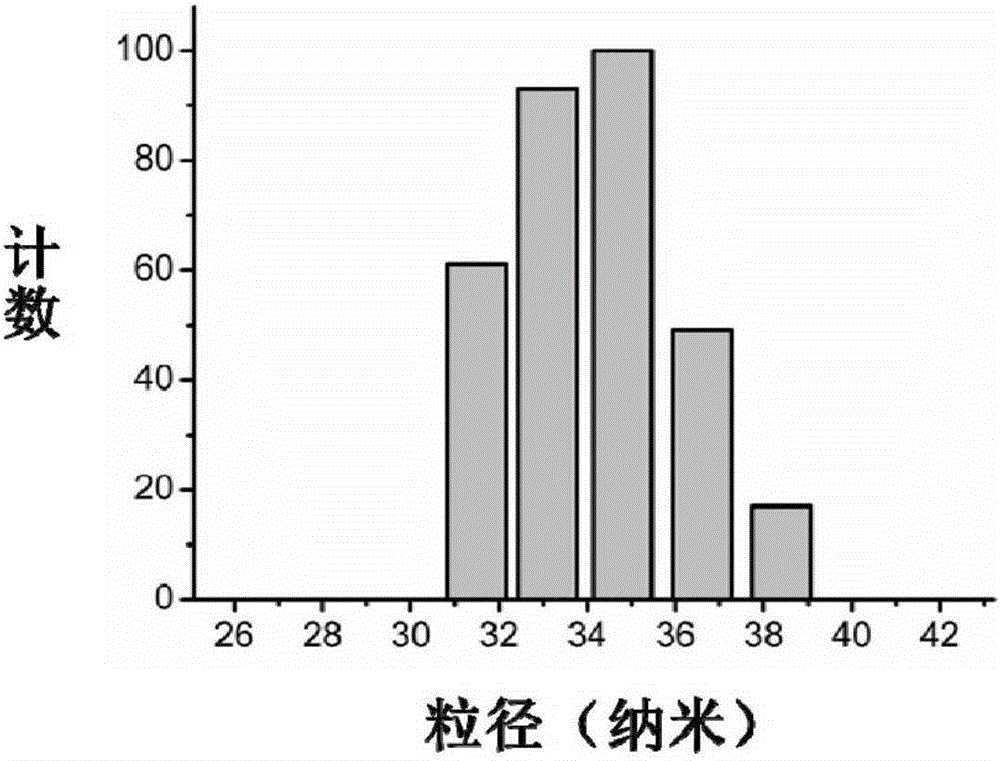 Fluorescent nano-particles, as well as synthesizing method and application thereof