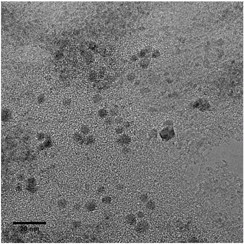 Fluorescent nano-particles, as well as synthesizing method and application thereof