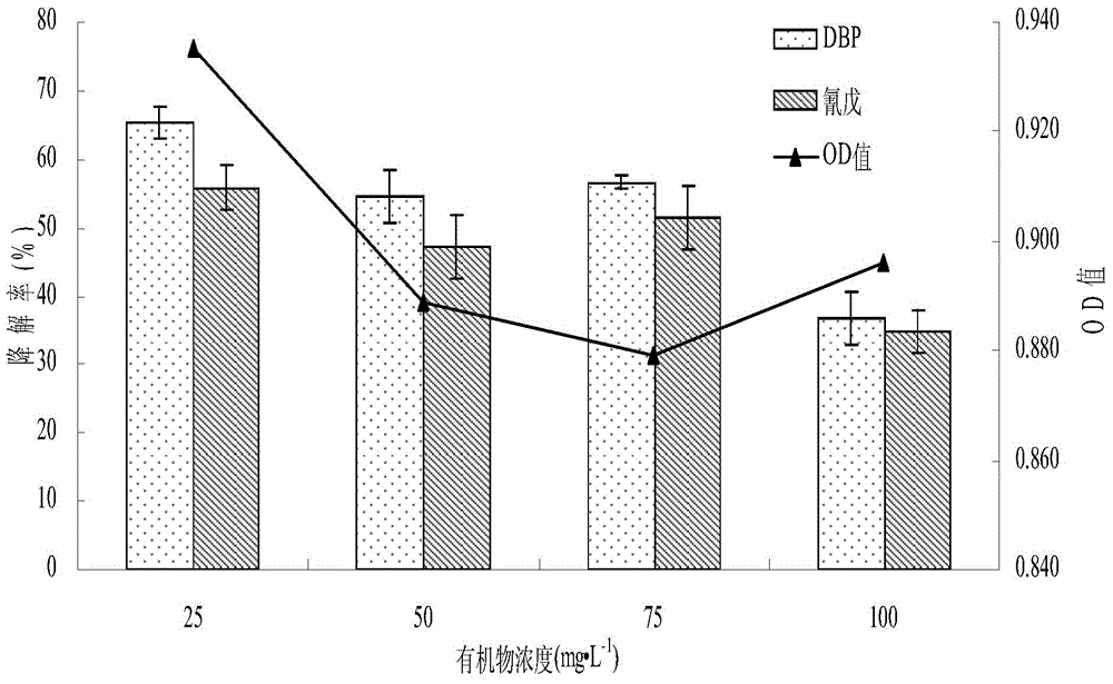 A fungus capable of simultaneously degrading phthalates and pesticides and its application