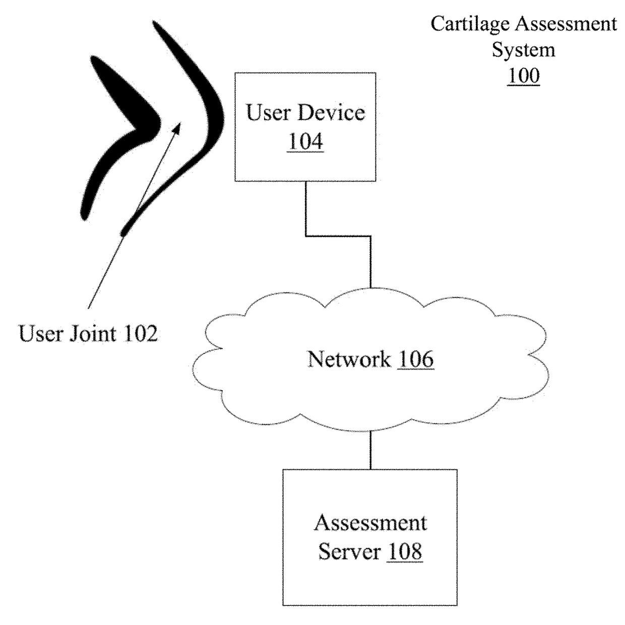 Assessing joint condition using acoustic sensors