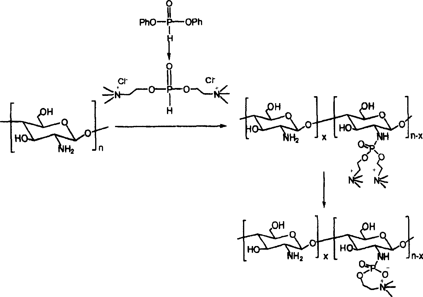 Phosphoryl choline chitosan derivative synthesis method