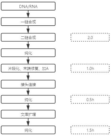 Construction method of sequencing library for pathogenic microorganism detection