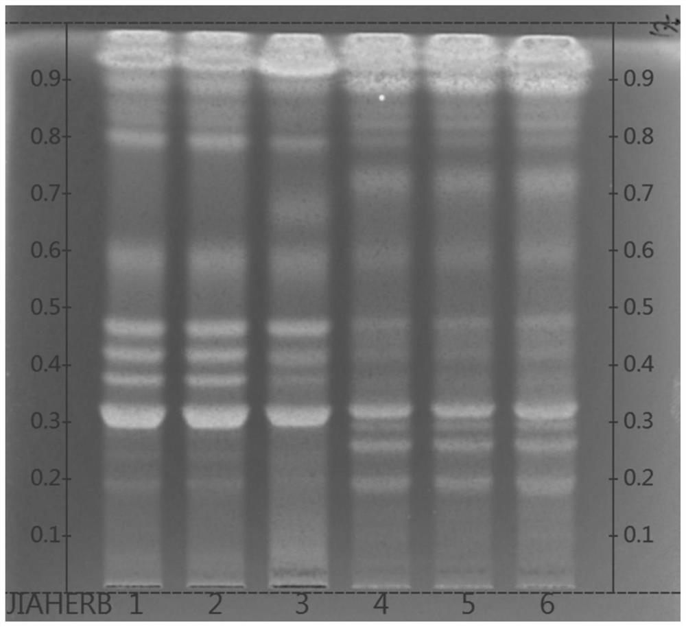 Thin-layer chromatographic analysis method for identifying and distinguishing fermented cordyceps sinensis bacterial powder and fermented cordyceps sinensis bacterial powder