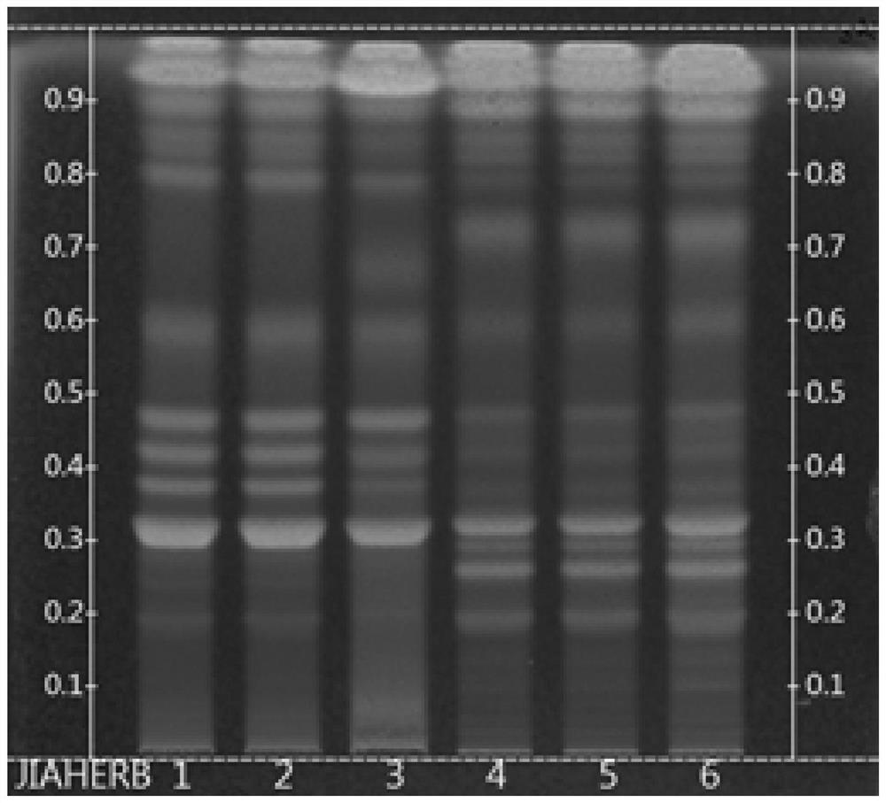 Thin-layer chromatographic analysis method for identifying and distinguishing fermented cordyceps sinensis bacterial powder and fermented cordyceps sinensis bacterial powder