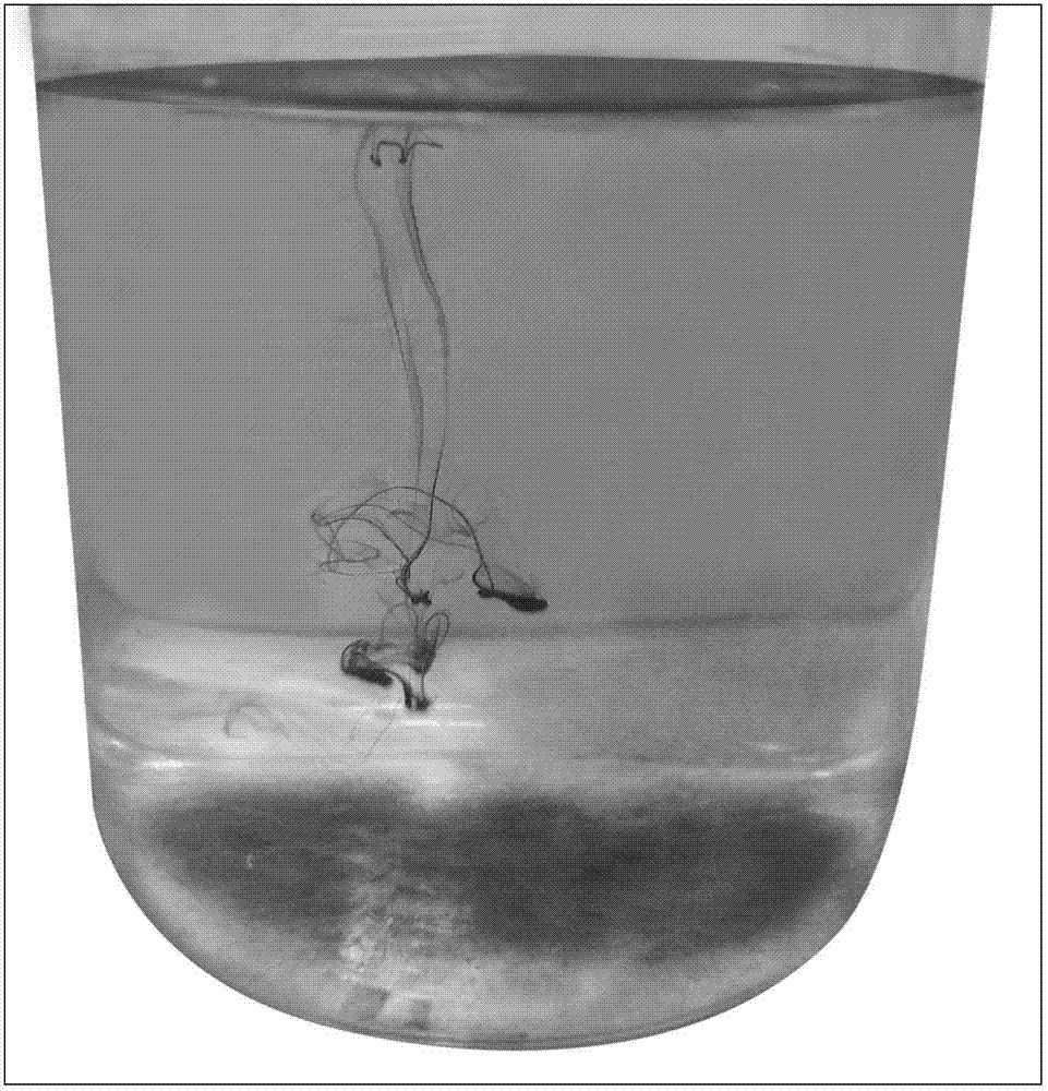 Method for producing liquid water-soluble carbon fertilizer with high-concentration organic waste water