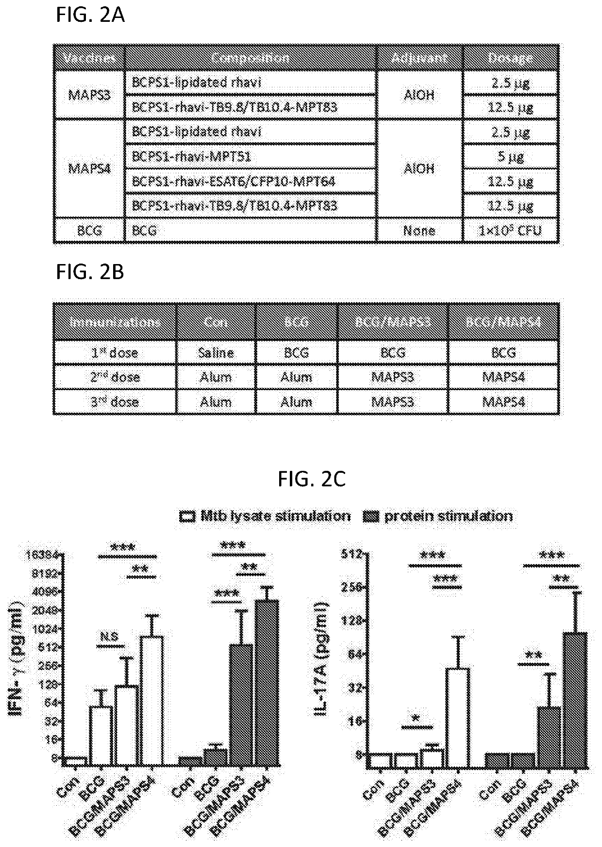 Combined vaccine against mycobacterium tuberculosis