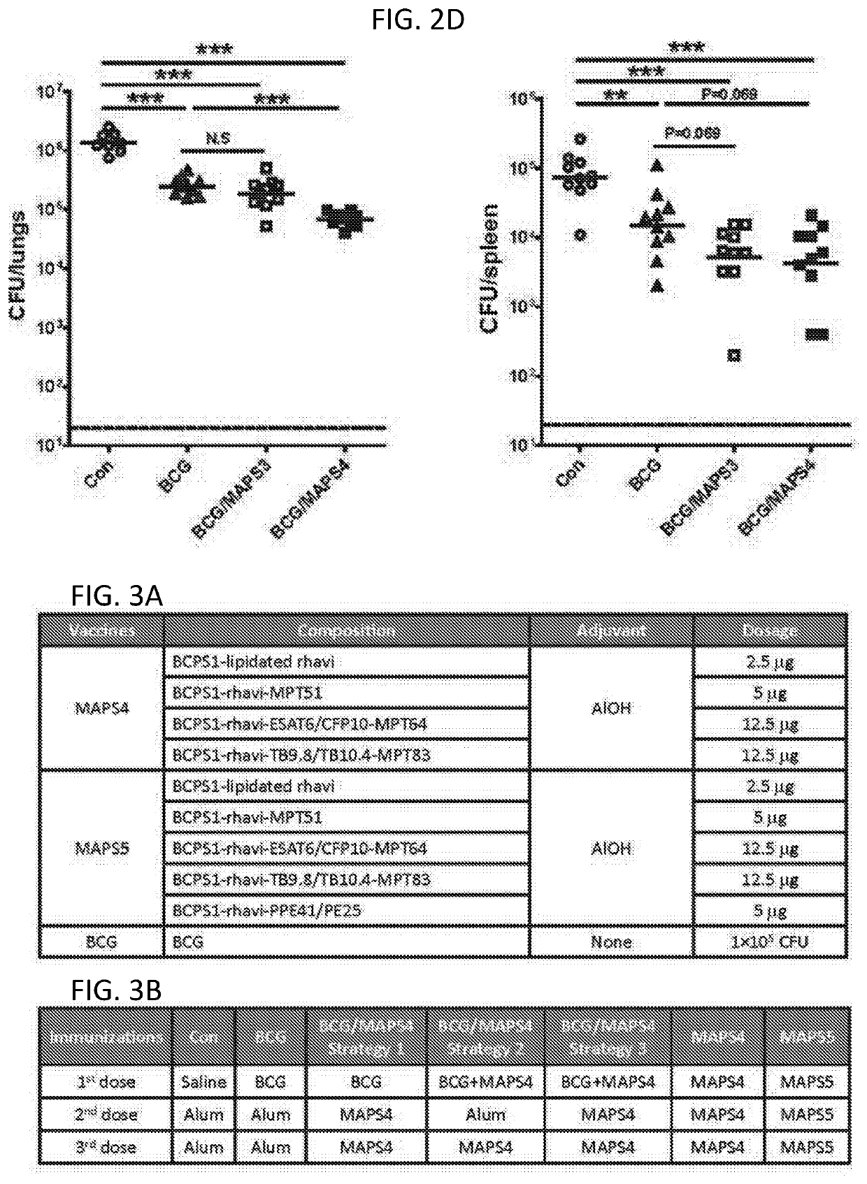 Combined vaccine against mycobacterium tuberculosis