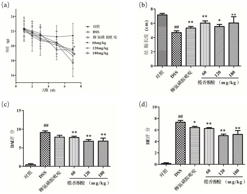 Application of elemonic acid and solid dispersion thereof in preparation of medicine for treating ulcerative colitis