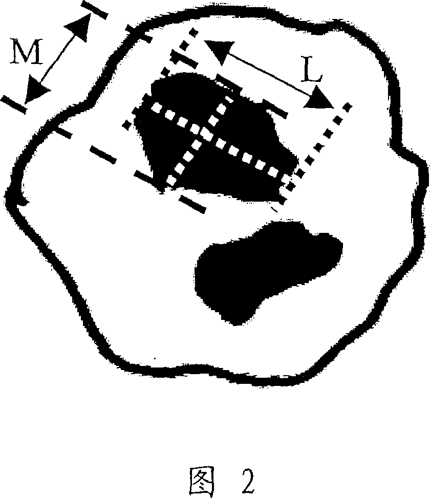 Toner and production method thereof, image forming apparatus and image forming method, and process cartridge