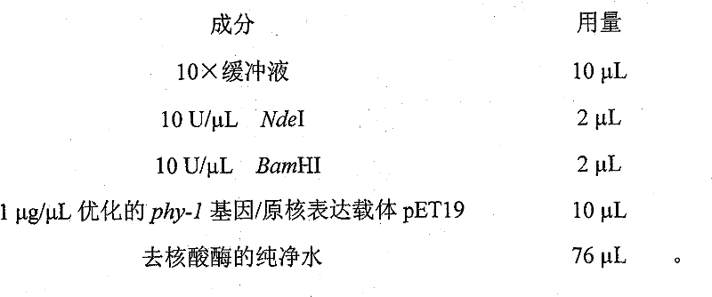 Biosynthesis method of isotope 13C labeling 4-oxyproline