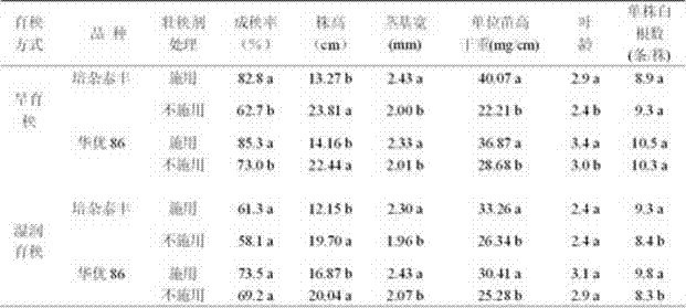 Seedling-strengthening agent special for super rice and using method thereof