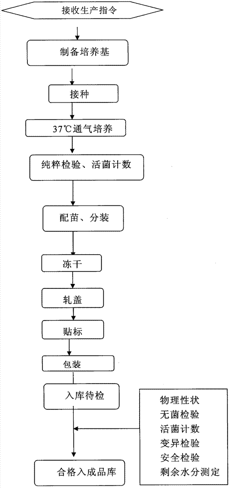 Preparation method of Brucellosis live vaccine and product thereof