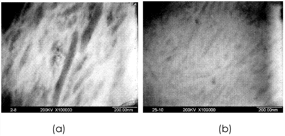 Preparation method of polymer matrix proton exchange membrane (PEM) with cross-linked structure