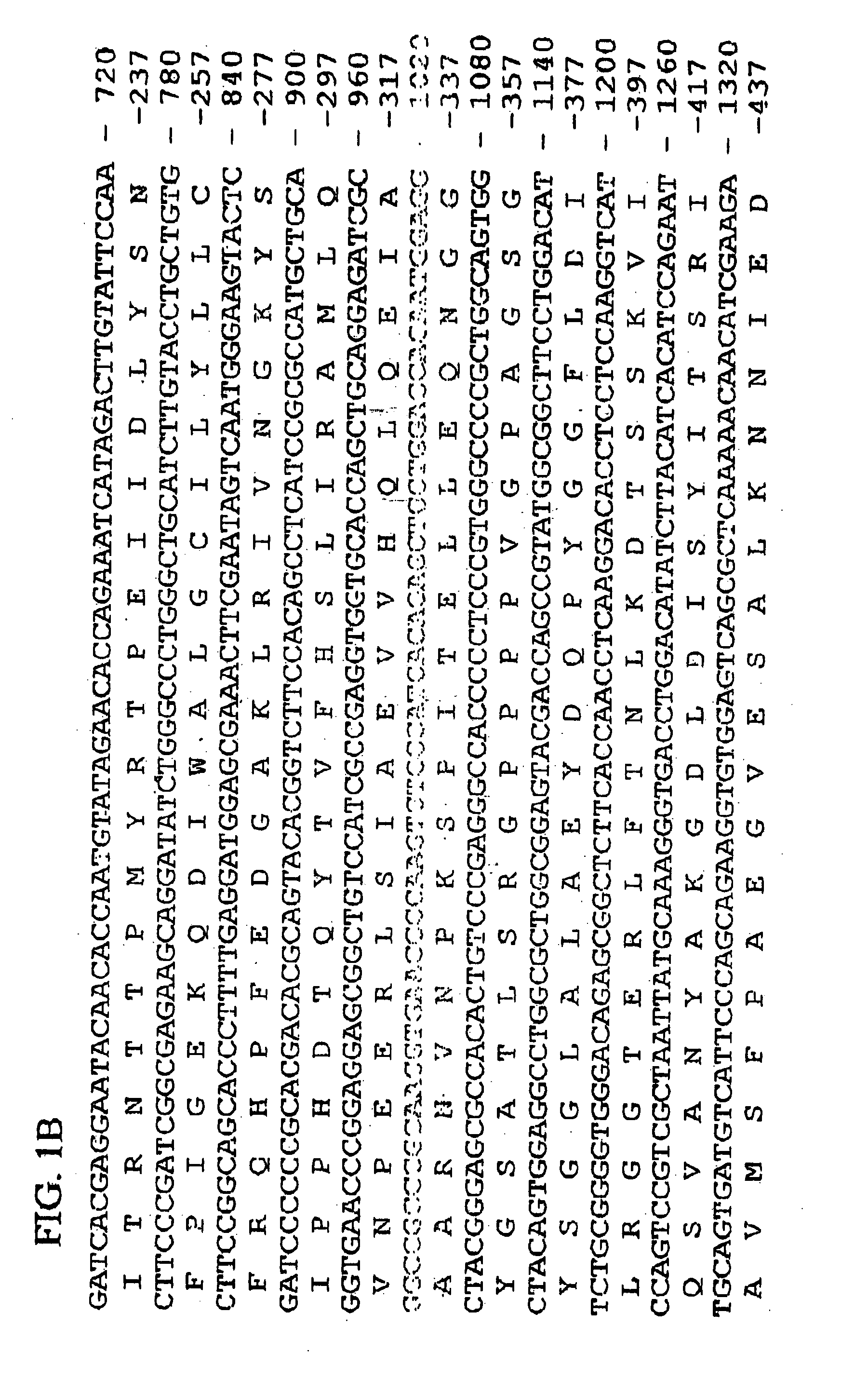 Human GAK-related gene variants associated with lung cancer