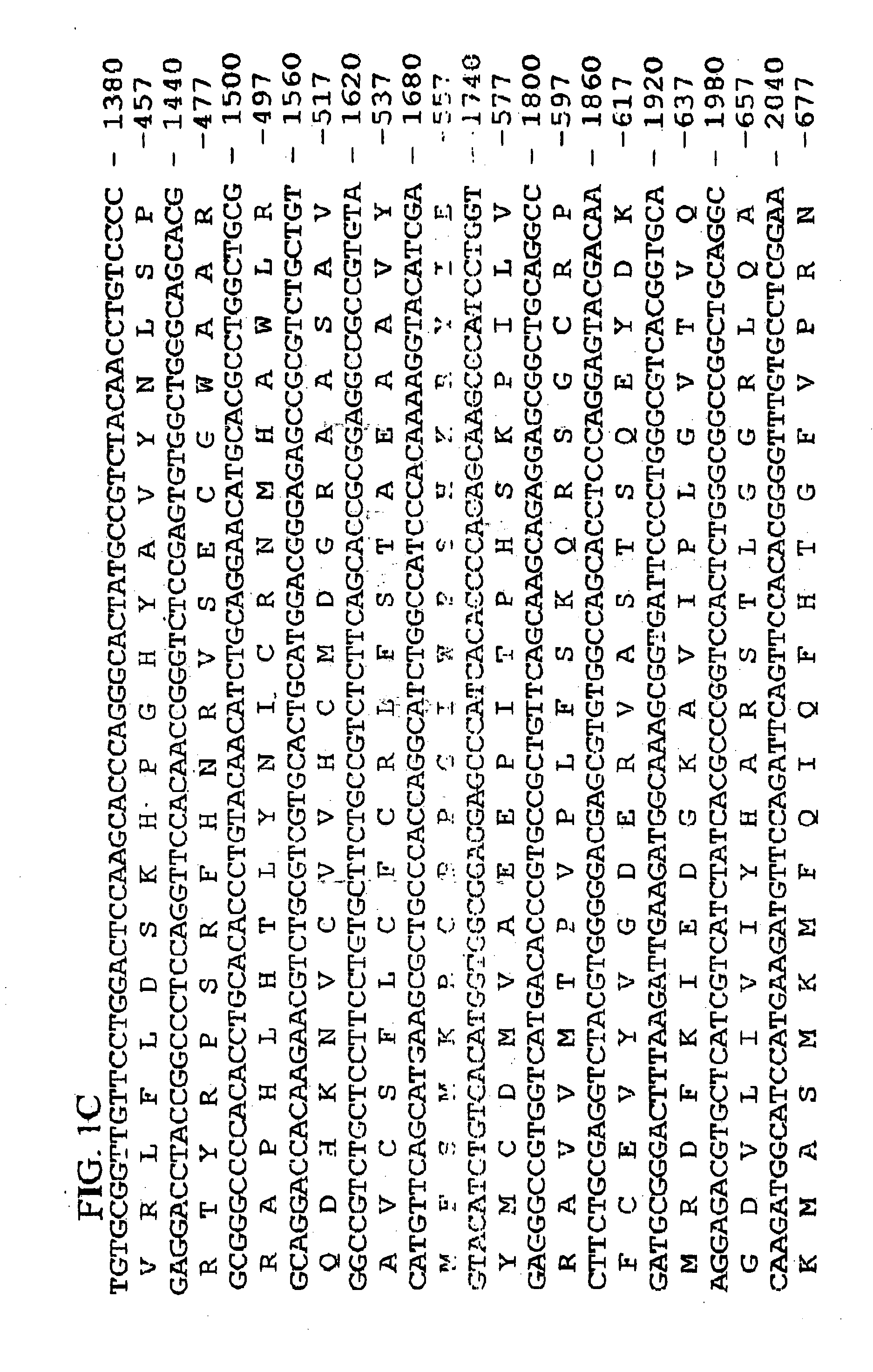 Human GAK-related gene variants associated with lung cancer