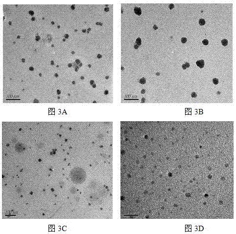 Cationized polysaccharide nanoparticle gene delivery systems and manufacturing method thereof