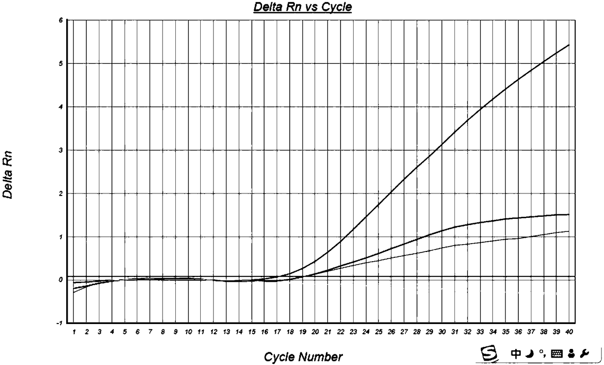 Reagent for detecting viruses in tilapia mossambica lake, detection method and application