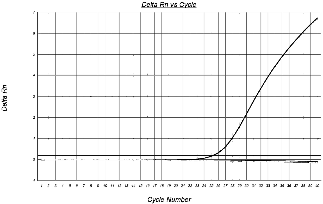 Reagent for detecting viruses in tilapia mossambica lake, detection method and application