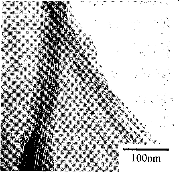 Preparation method of boron nitride nano tube with controllable dimension