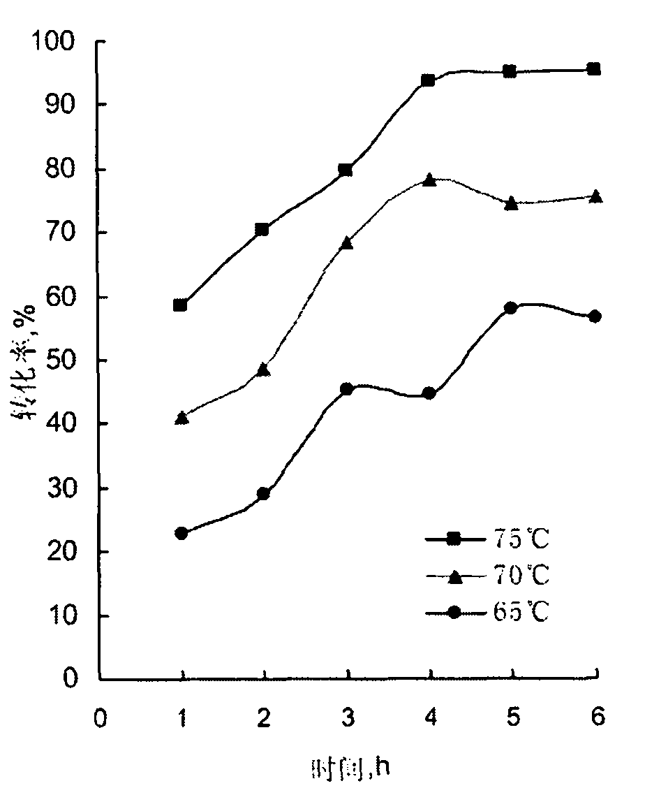 Method for preparing binary copolymer