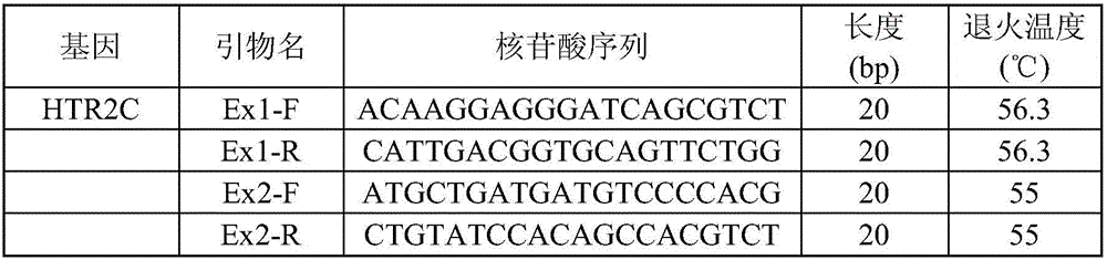 Laying duck feather picking character important gene HTR2C molecular marker and application