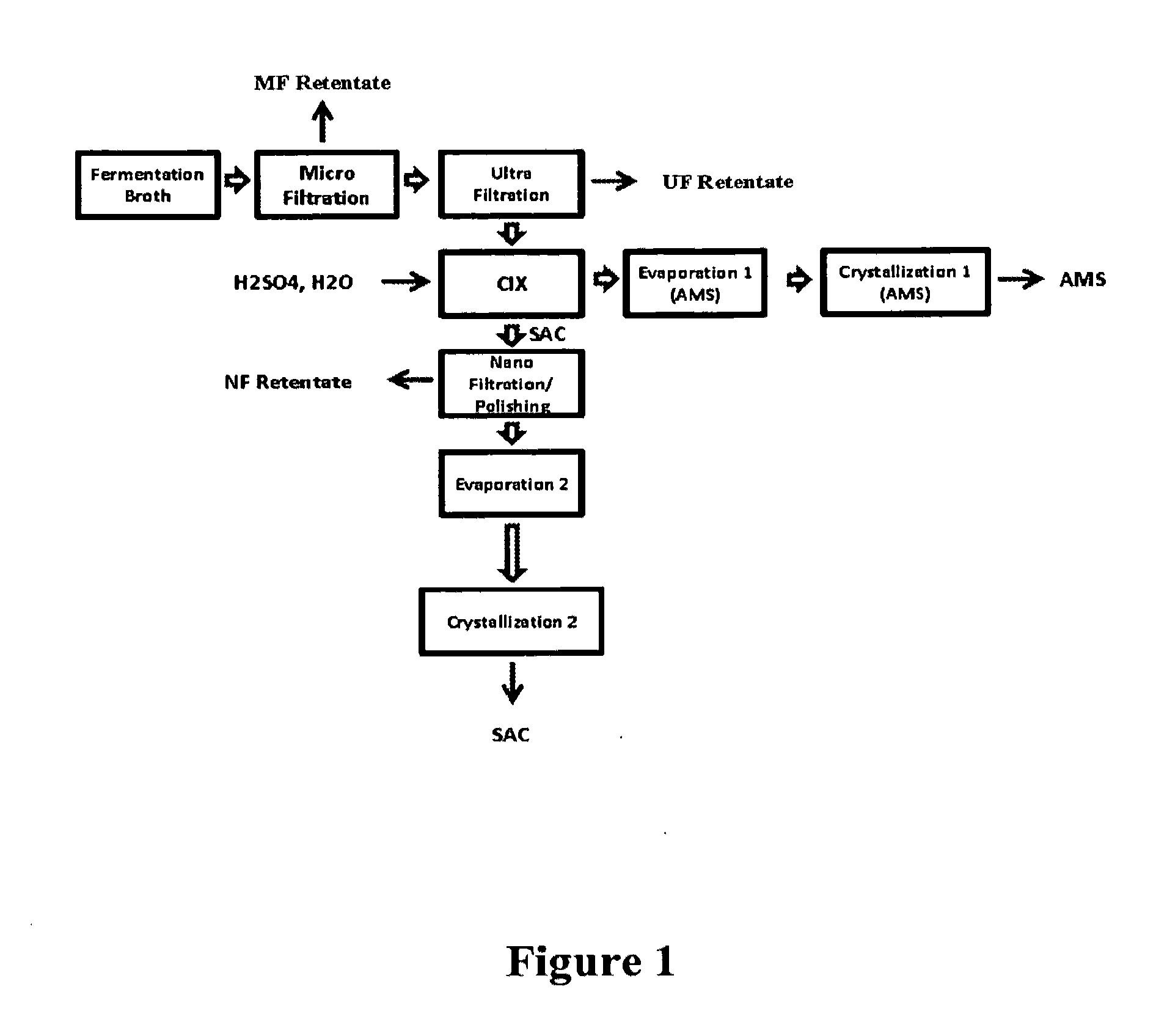 Purification of succinic acid from the fermentation broth containing ammonium succinate