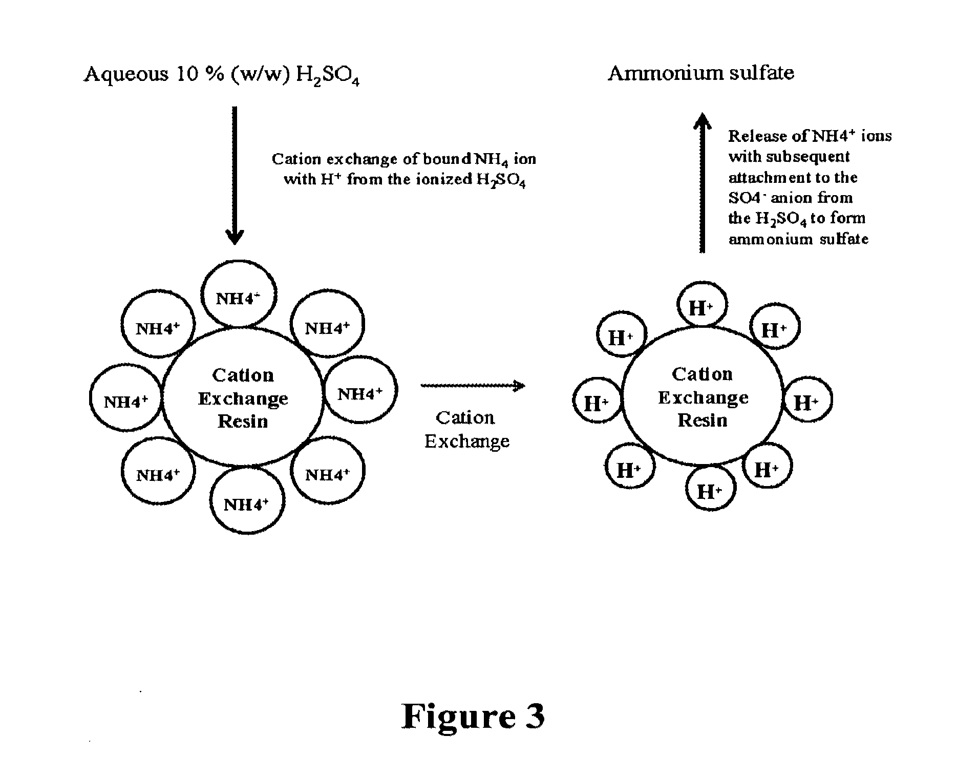 Purification of succinic acid from the fermentation broth containing ammonium succinate