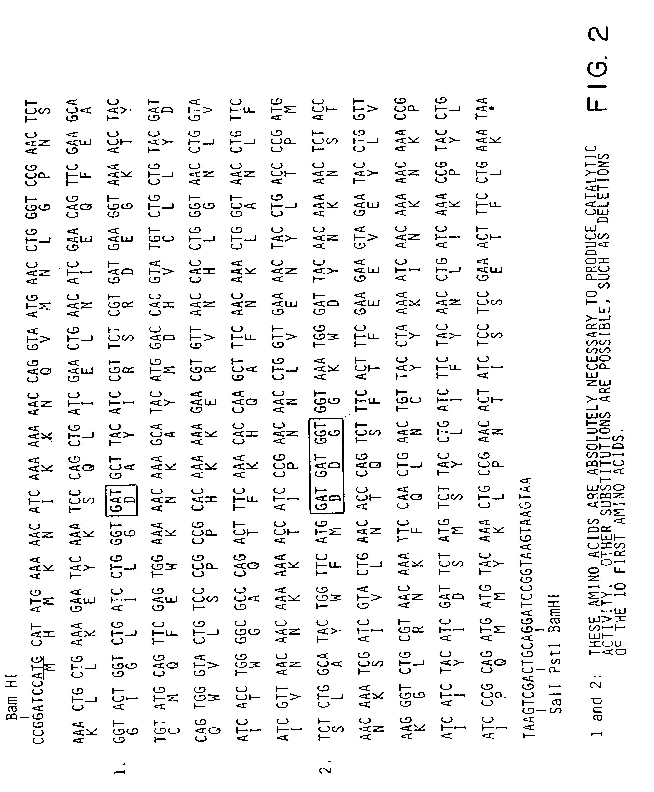 Nucleotide sequence encoding the enzyme I-Scel and the uses thereof